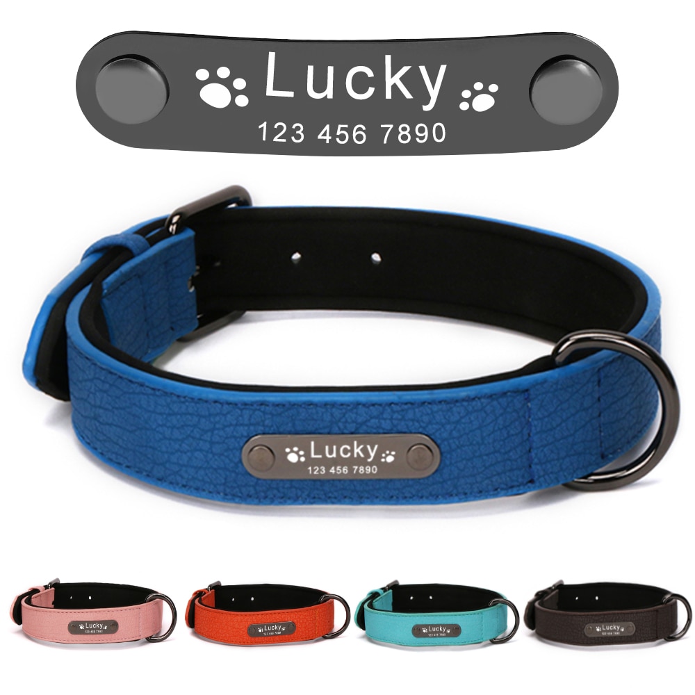 Personalized Leather Dog Collar in 8 colors