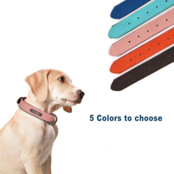 Personalized Leather Dog Collar in 8 colors