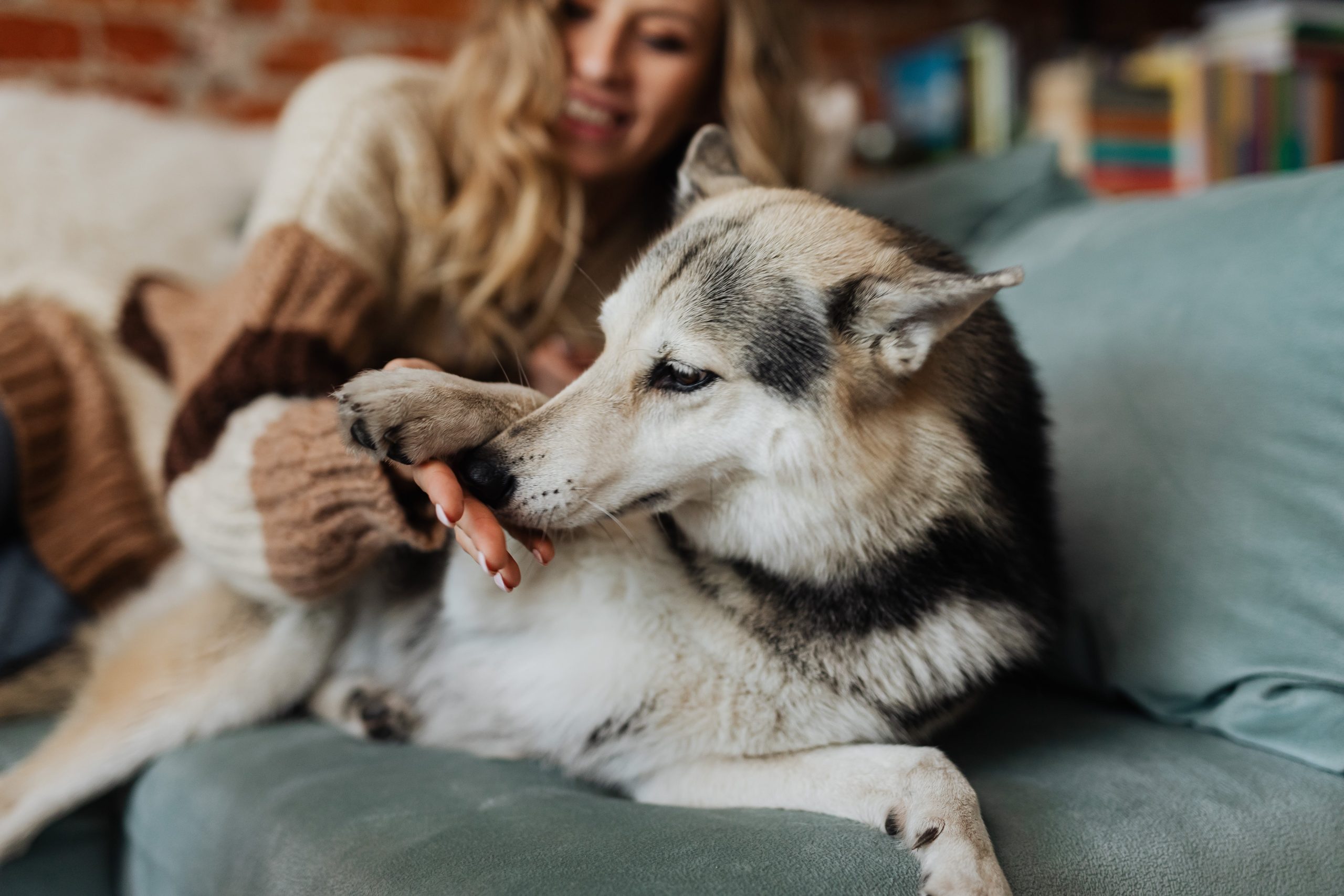 Can Dogs Smell Their Owners?