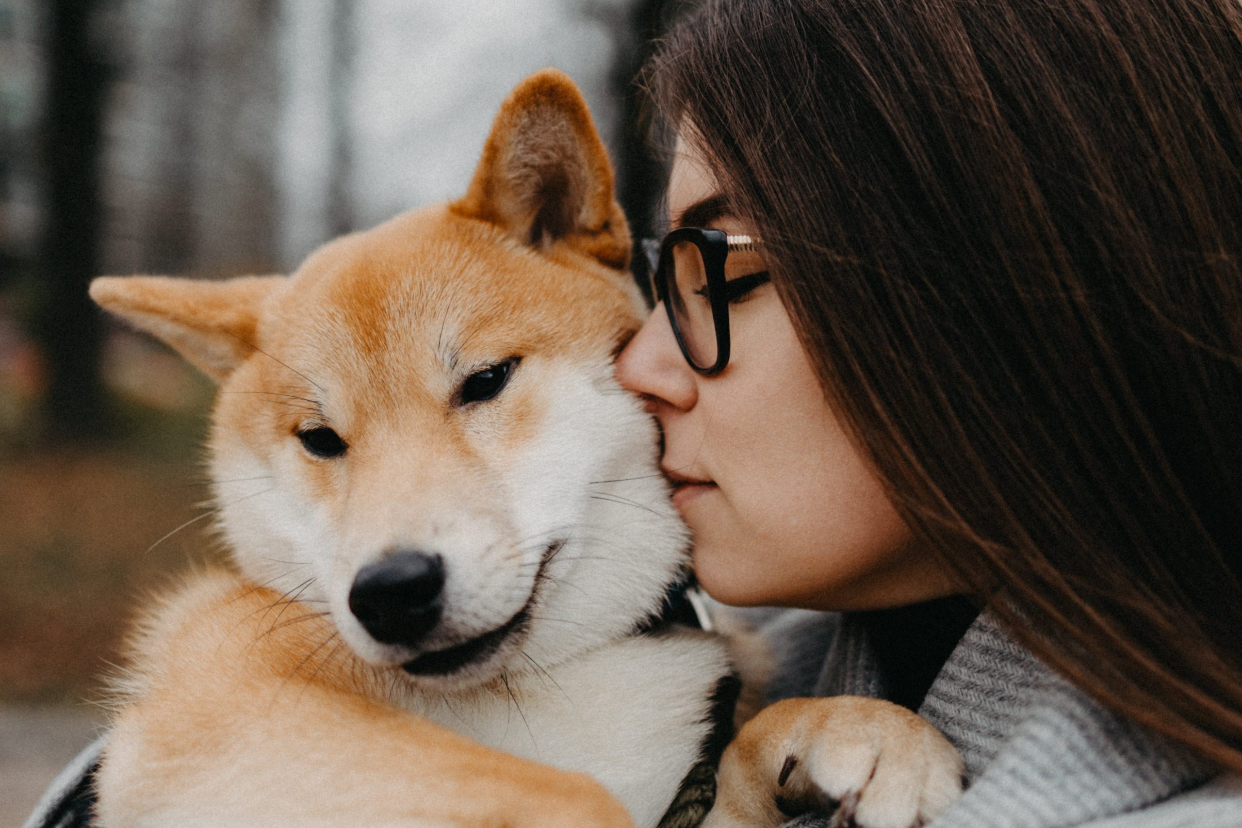 Do Dogs Like to Be Kissed?