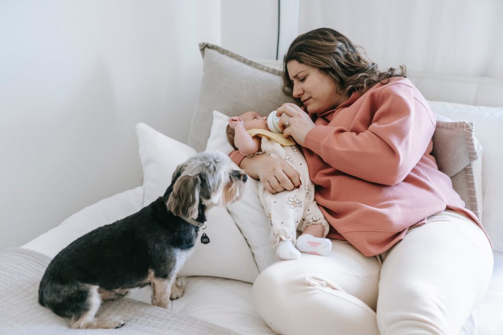 Do Female Dogs Like Human Babies? Unraveling the Canine Connection